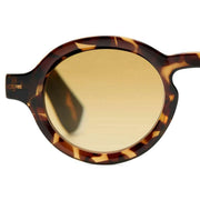 barner-charles-glossy-sun-reading-glasses---tortoise-brown-34507331