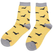 miss-sparrow-london-3-pack-little-sausage-dogs-sock-box---bluegreenyellow-34596464
