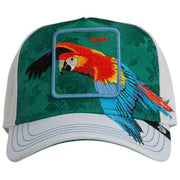 goorin-bros-honduras-macaw-trucker-hat---blank-greygreen-35922917
