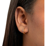 Beginnings Crystal Hoop Earrings - Gold/Purple