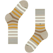 Burlington Blackpool strumpor - Desert Mis Beige