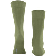 Burlington Dublin strumpor - Salvia Green